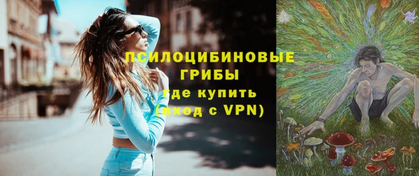 хмурый Алексеевка